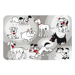 Camon padėklas šunims po dubenėliu, plastmasinis, 43×28 cm