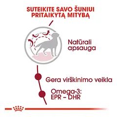ROYAL CANIN SHN Dog Medium Adult sausas maistas suaugusiems vidutinių veislių šunims 15 kg — 3 nuotrauka