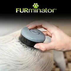 FURminator maudymo šepetys, Ø 7,8 x H 4,8 cm — 4 nuotrauka
