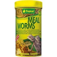 TROPICAL Meal Worms 100ml