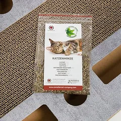 CanadianCat Company žaidimų aikštelė katėms PlayPlate, 1 vnt. — 4 nuotrauka