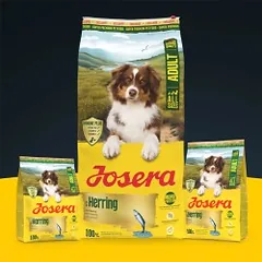 Josera Herring sausas maistas šunims, 12,5 kg — 2 nuotrauka