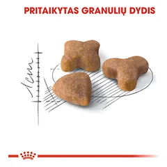 ROYAL CANIN FHN Sensible sausas maistas  suaugusioms katėms 4 kg — 3 nuotrauka