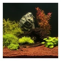 Manado substratas akvariumo augalams 1,5 l — 2 nuotrauka
