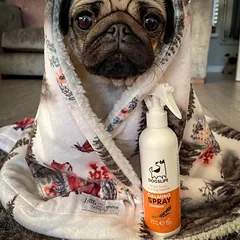 DOGSLIFE raminantį poveikį turintis purškalas šunims su levandomis, 250 ml — 3 nuotrauka