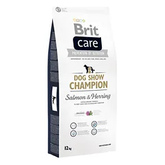 Brit Care Dog Show Champion
