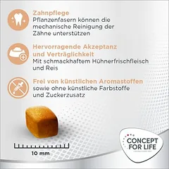 Concept for Life Medium Light — 4 nuotrauka