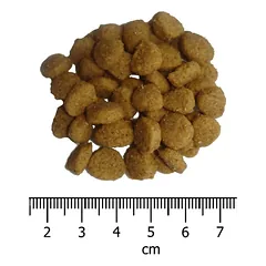 OPTIMA nova Cat Sterilised vieno baltymo pašaras sterilizuotoms katėms, 6 kg — 2 nuotrauka