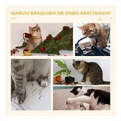 Kačių draskyklė 100 cm — 5 nuotrauka