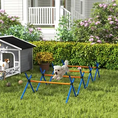 Agility rinkinys 4 vnt. — 2 nuotrauka
