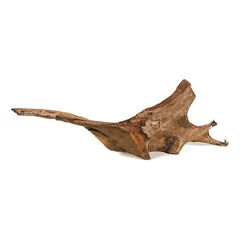 Akvariumų dekoracija