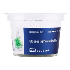 Akvariumo augalas Glossostigma elatinoides — 3 nuotrauka