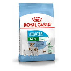 ROYAL CANIN Mini Starter Mother & Babydog 1 kg sauso maisto nėščioms ir žindančioms kalėms ir šuniukams, nuo 4 iki 8 savaičių, mažoms veislėms 
