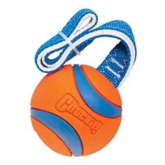 CHUCKIT! ULTRA TUG KAMUOLIUKAS SU RANKENA ŠUNIMS — 3 nuotrauka