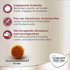 Concept for Life Maine Coon Adult su lašiša, begrūdis sausas maistas katėms, < 1,4 kg — 5 nuotrauka