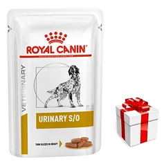 ROYAL CANIN Urinary S/O 12x100g šunims + STAIGMENA ŠUNIUI