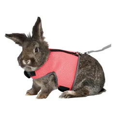 Trixie Rabbit Soft Harness With Leash nailono petnešos triušiams su pavadėliu, reguliuojamos, 25–32 cm, 1,20 m