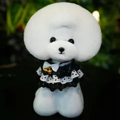 Mr. Jiang Teddy galvos plaukai - pakaitiniai kailiai Teddy kirpimo galvai