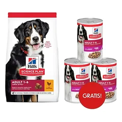 HILL'S Science Plan Canine Adult Large Breed Chicken 18 kg sausas pašaras didelių veislių suaugusiems šunims su vištiena + 3 skardinės HILL'S šlapio pašaro dovanų.