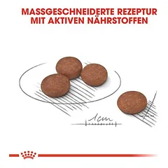 Royal Canin Mini Digestive Care sausas maistas šunims, 5 - 9,9 kg — 3 nuotrauka