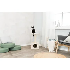 TRIXIE Junior Zamora draskyklė stulpas su būda, 60cm, smėlio — 4 nuotrauka