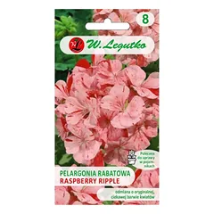 Divas F1 lovos pelargonija – Raspberry Ripple – margas, oranžinis ir raudonas