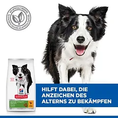 Hill's Science Plan Senior Vitality Mature Adult 7+ Medium su vištiena ir ryžiais, sausas maistas šunims — 3 nuotrauka