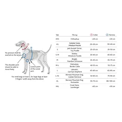 TRIXIE Premium touring petnešos, M 45-80cm/25mm, raudonos — 2 nuotrauka
