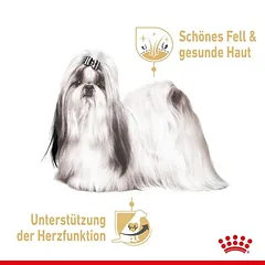 Royal Canin Shih Tzu Adult Mousse drėgnas maistas šunims — 3 nuotrauka