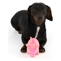 zooplus Exclusive žaislas šunims, latekso kiaulytė su garsu, 2 vnt., L 23 cm, ekonominiame rinkinyje — 3 nuotrauka
