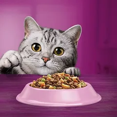 Whiskas 1+ Sterile su vištiena, sausas maistas katėms — 2 nuotrauka