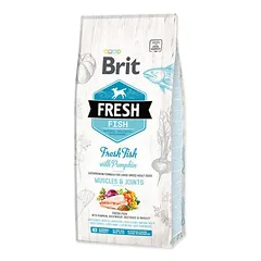 Brit Fresh Fish with Pumpkin Adult Large sausas pašaras didelių veislių šunims su žuvimi ir molūgu 12 kg