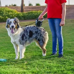 KONG Terrain ištraukiamas pavadėlis, juodas, Mažiems 5–10 kg — 2 nuotrauka