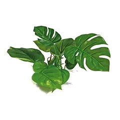 AMTRA ANUBIAS plastikinis augalas 20cm parduotuvėje Petz.lt