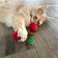 Aumüller žaislas katėms Kuschelkirschen, 1 vnt. — 3 nuotrauka