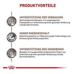 Royal Canin Veterinary Canine Gastrointestinal Mousse drėgnas maistas šunims — 3 nuotrauka