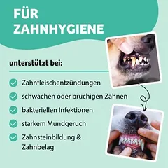 BugBell kramtomosios lazdelės Dental Shine, skanėstai šunims, 50 - 79 g — 5 nuotrauka