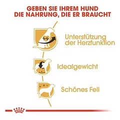 Royal Canin Cavalier King Charles Adult sausas maistas šunims, 5 - 9,9 kg — 5 nuotrauka