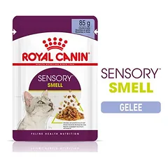 Royal Canin Sensory Smell in Gelee
