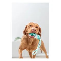 TRIXIE Denta Fun Kamuolys su virve, natūrali guma, 7-24 cm, 1 vnt. — 3 nuotrauka