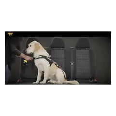 Julius - K9 StopDog Mobility Control Automobilio Pavadėlis - automobilinis pavadėlis šunims — 2 nuotrauka