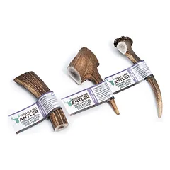 Elnio ragas šunims – Highland Antler – M dydis 76-150 g — 2 nuotrauka