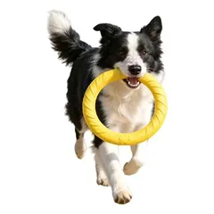 FurryFusion Frisbee- und Ringspiel für Hunde
