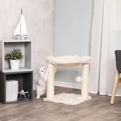 Trixie Baza draskyklė katėms, stulpai su guoliu ir kamuoliuku, kreminės spalvos, 50 cm