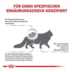 Royal Canin Veterinary Feline Early Renal sausas maistas katėms, 3 - 4,9 kg — 2 nuotrauka