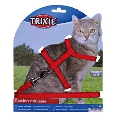 TRIXIE PETNEŠOS SU PAVADĖLIU — 3 nuotrauka