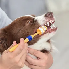 Arm & Hammer dantų priežiūros rinkinys šunims: dantų šepetėlis ir pasta, 3 dalių — 4 nuotrauka