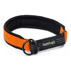 Smaugiantis brezentinis antkaklis, 32 - 41cm, Oranžinis