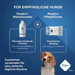 Plaqtiv+ burnos purškalas šunims, 60 ml — 2 nuotrauka