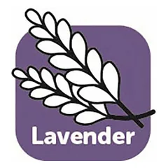 Flamingo LAVENDER SHAMPOO 300ml — 2 nuotrauka
